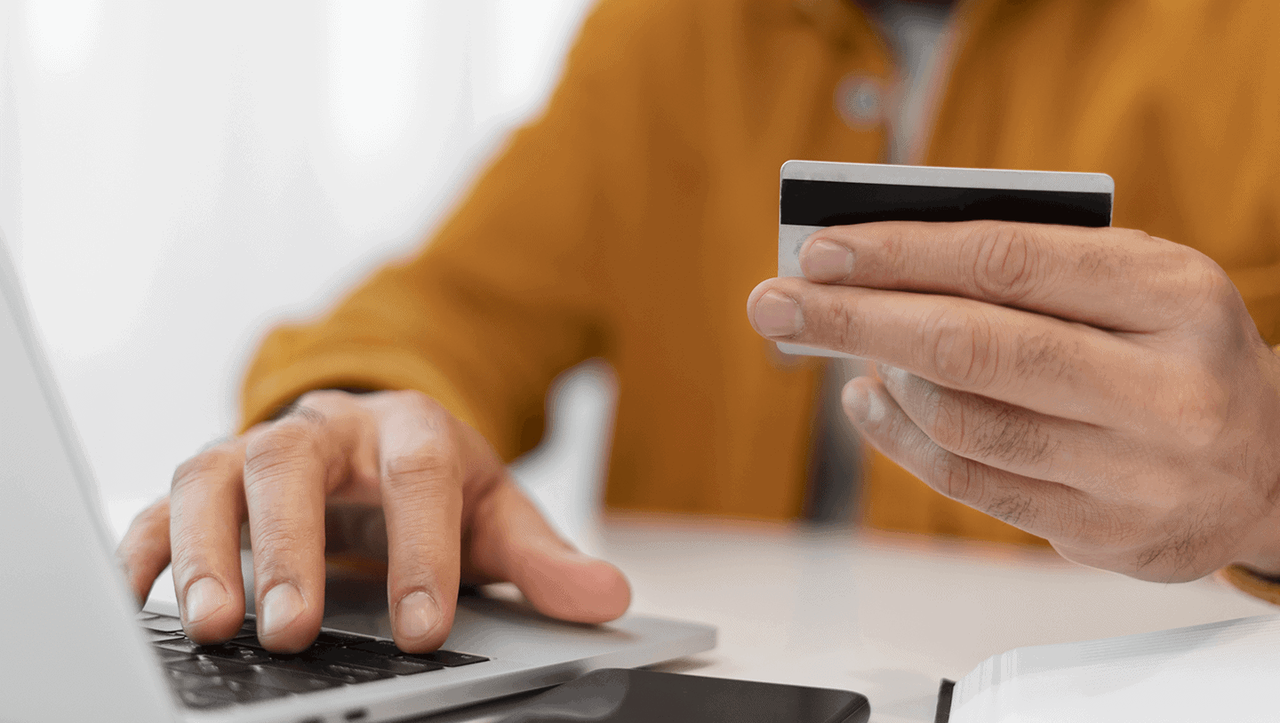 50324article 1 the Stone Fox artem lyashanov what does payment ecosystem mean in 2026